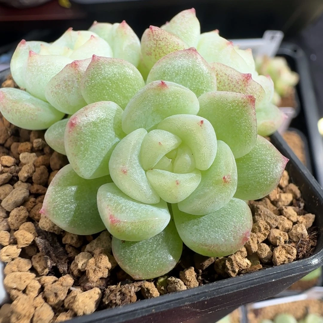 658号哈哈哈哈哈哈哈