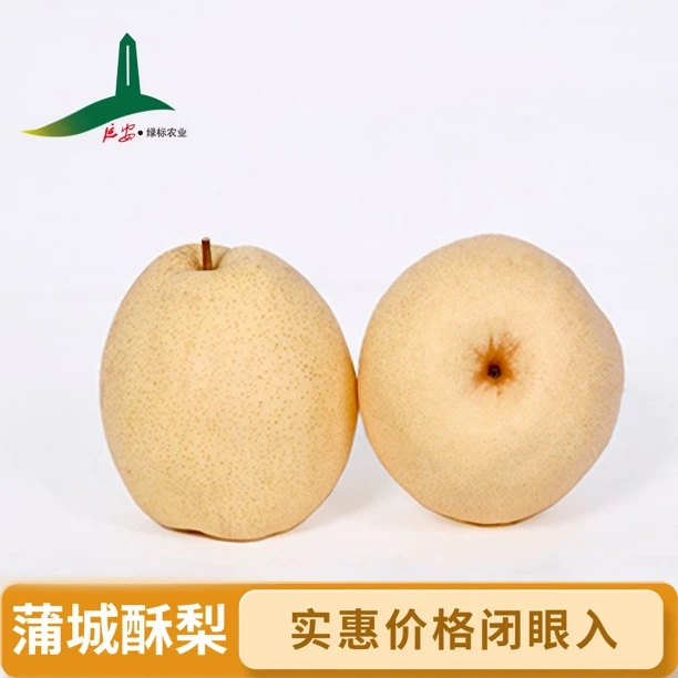 蒲城酥梨大果【京东包邮】皮薄肉厚水润多汁脆甜新鲜水果香梨砀山梨
