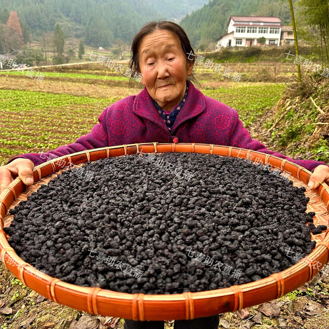 【现收桑椹】自然晾晒泡水