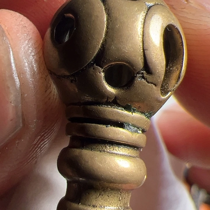 香榧木在这里的确