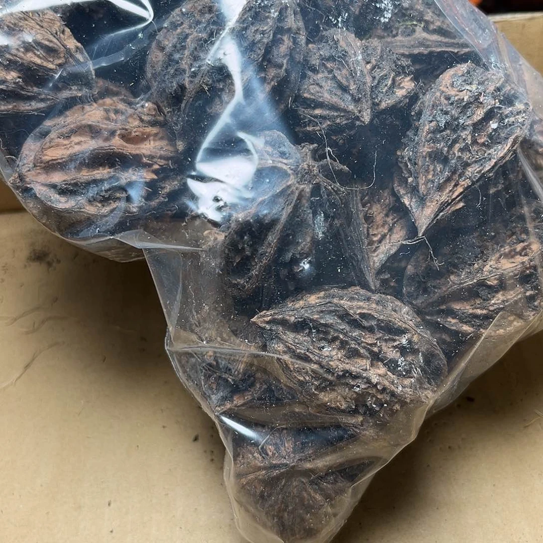 吊坠文玩核桃核桃22