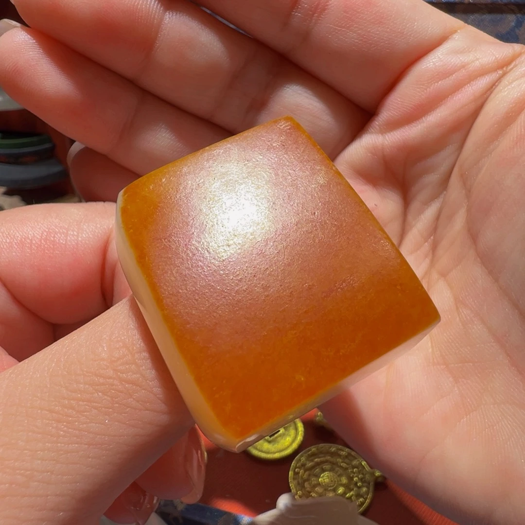 随***缘勒子勒子勒子勒子勒子