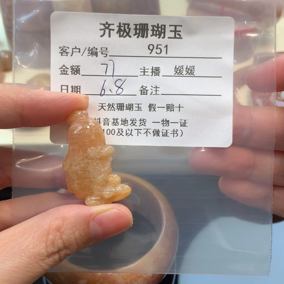 硅化珊瑚（珊瑚玉）未镶嵌颈饰灵*