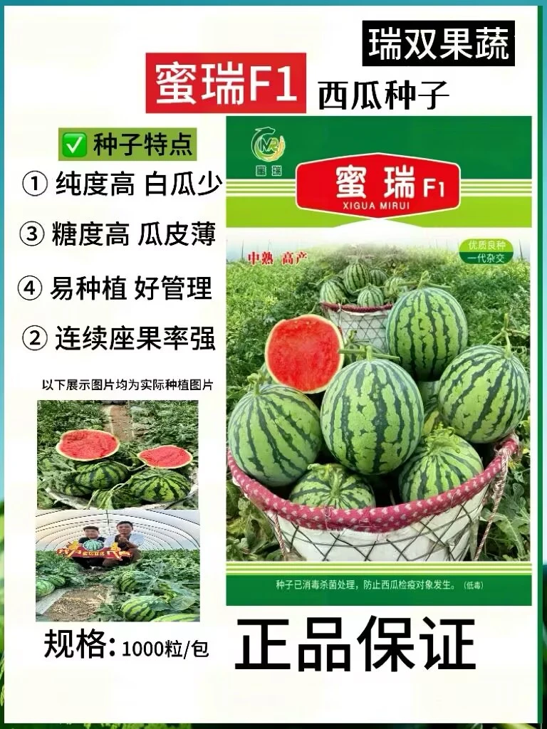 蜜瑞西瓜种子，蜜瑞F1西瓜种子，抗寒抗高温，1000粒一包
