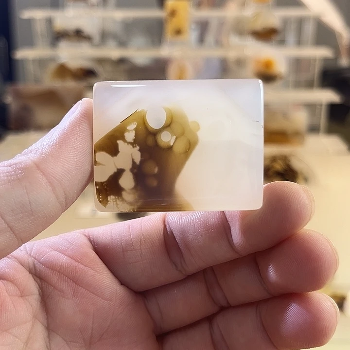 玛瑙/玉髓吊坠(不含链)未镶嵌