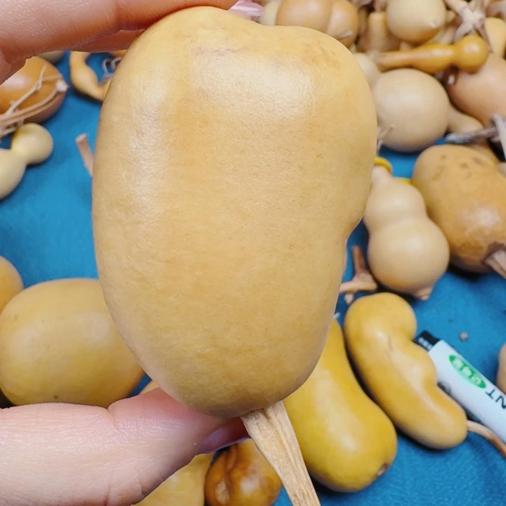 .*七是来花花绿绿据了解