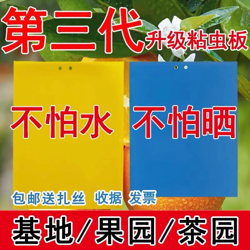 【10张】粘虫蓝板灭虫双面粘虫板蓟马小黑飞诱捕诱虫菜园花大棚菜园