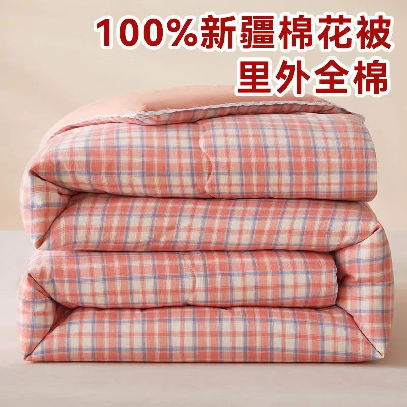 清100%里外纯棉新疆棉花被春秋被冬被加厚全棉空调被芯单人宿舍