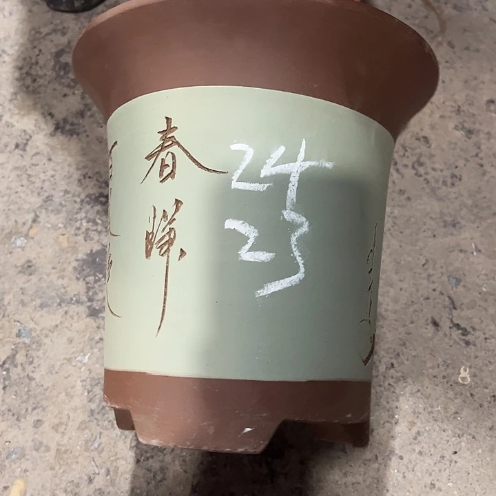 紫砂工艺厂……紫砂工艺厂……紫砂