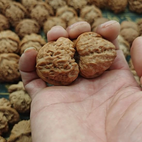 把件文玩核桃蛤蟆