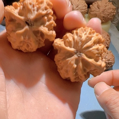 文玩核桃手串?****)秦岭无名38