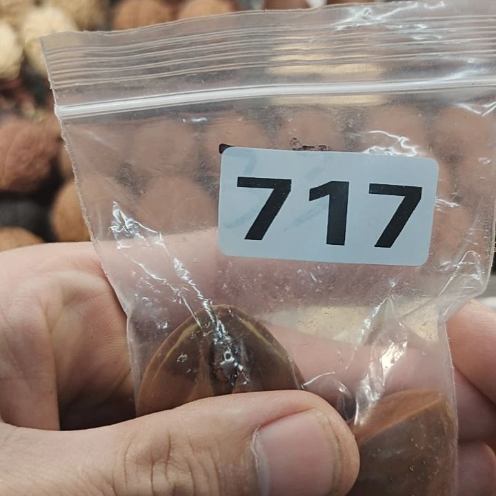 文玩核桃吊坠梁*文玩核桃