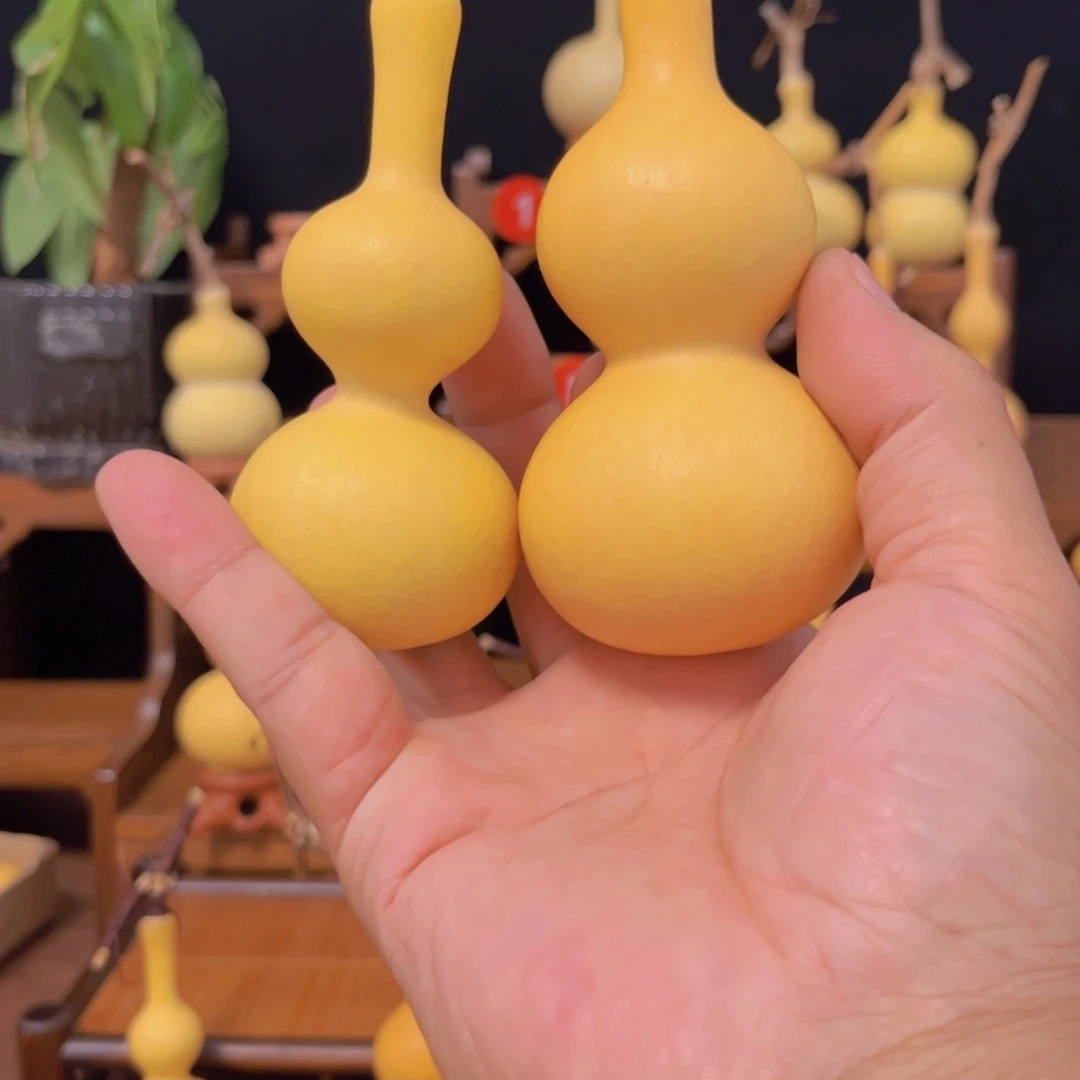 D****长嘴八宝一物一拍