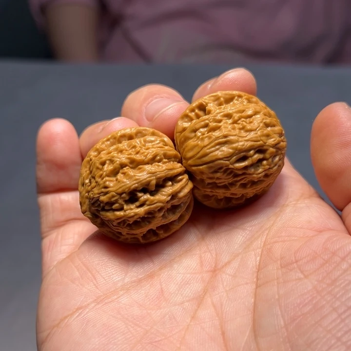 文玩核桃把件白狮子8134