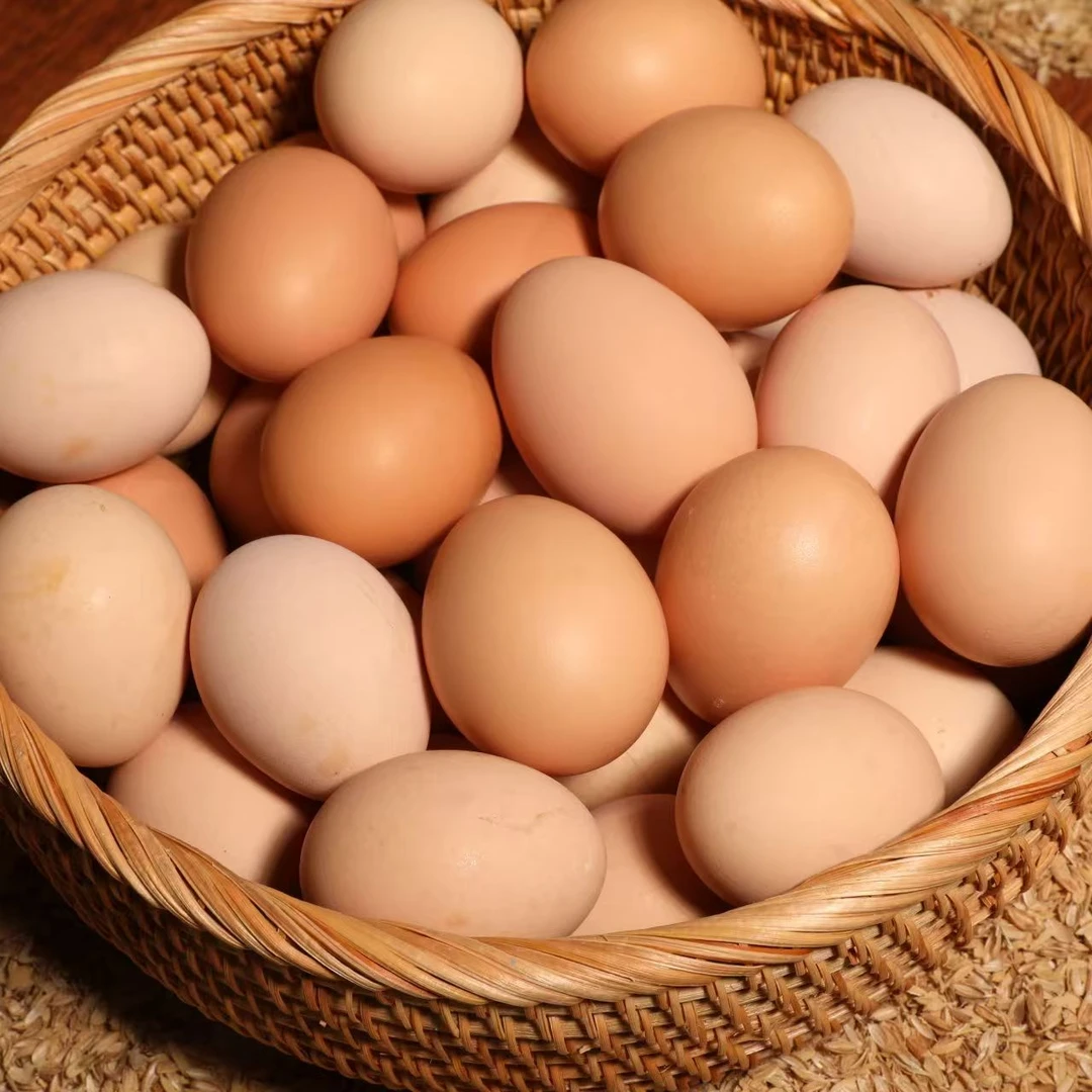 贵州农家散养土鸡蛋50枚包邮到家贵州本地土鸡