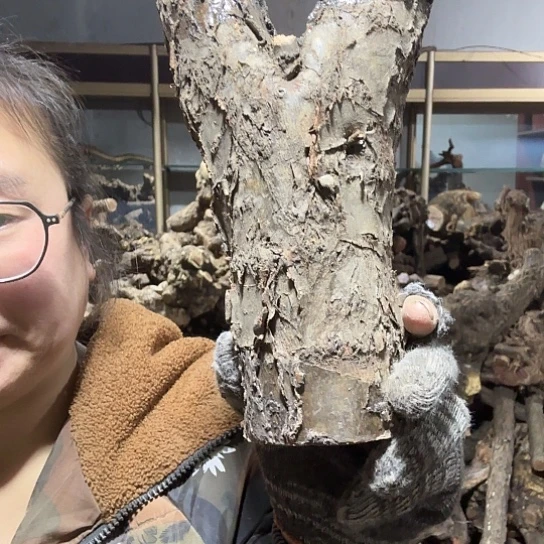 香榧木用****3火琉璃的毛看看摆件