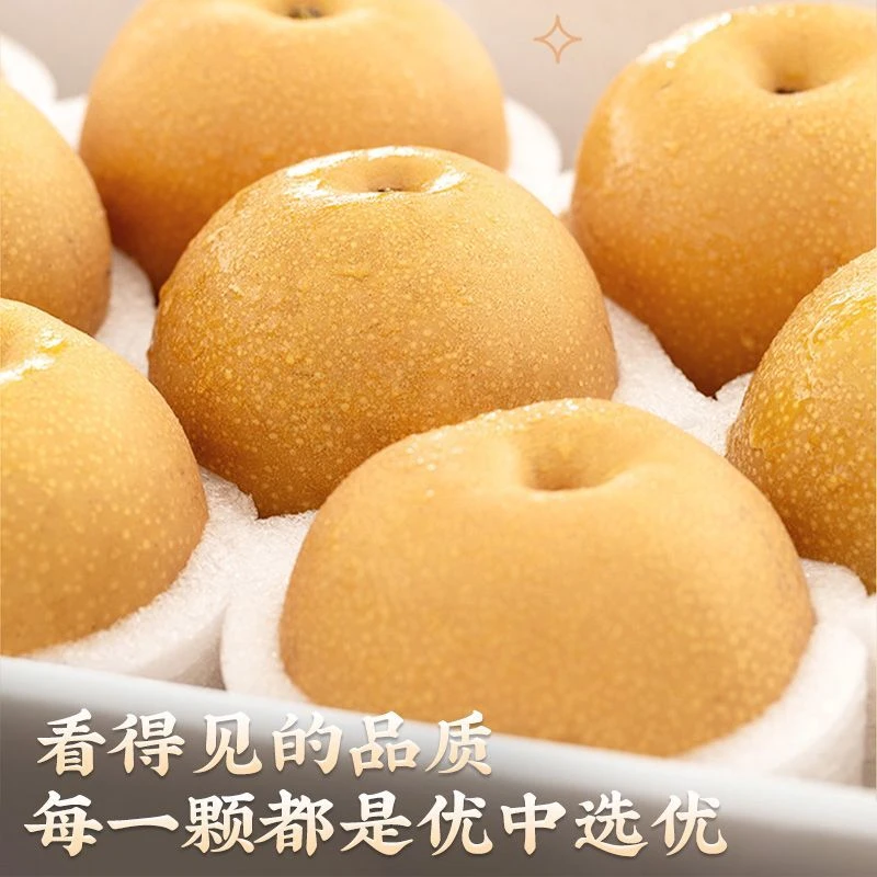 山东正宗莱阳秋月梨头茬新鲜现摘现发脆甜多汁应季水果