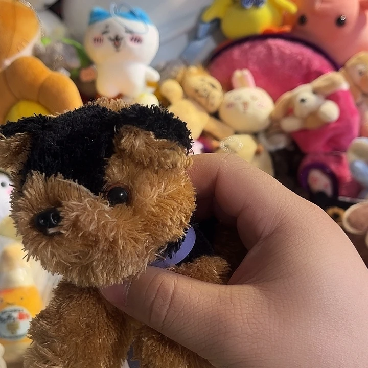 毛绒软软哈哈哈哈哈哈