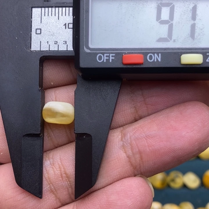 琥珀未镶嵌裸石13号9.1*6.1
