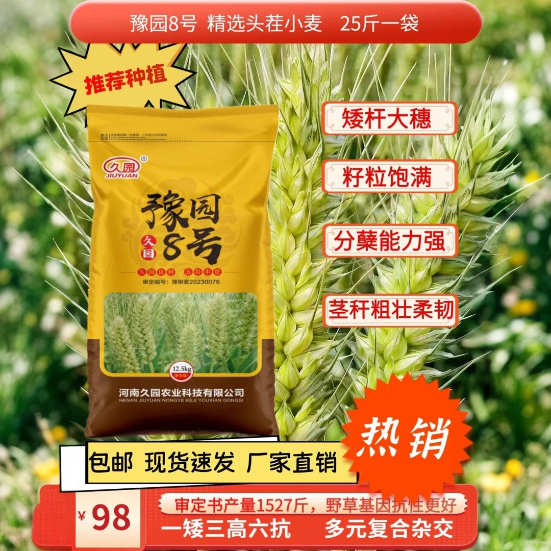 豫园8号高产稳产小麦农作物种子抗倒伏抗倒春寒产量种植品种