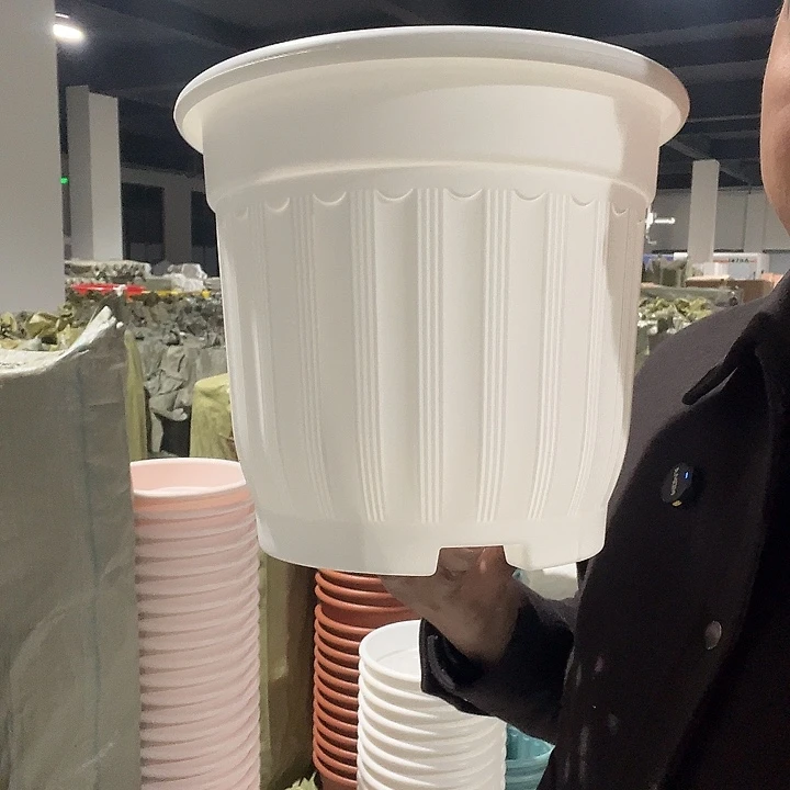 罗马280白4个无托盘