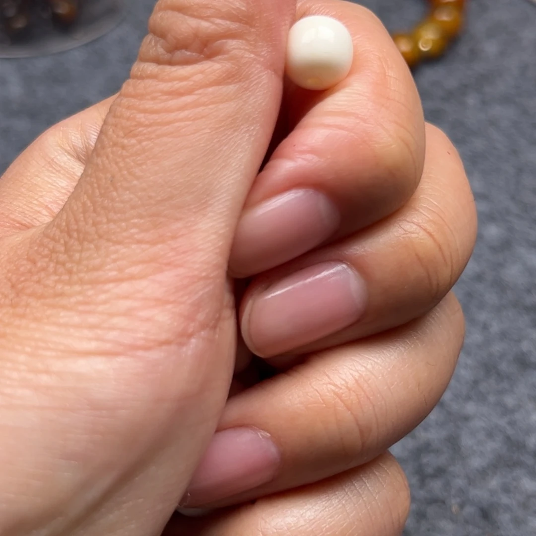 鹿骨其他人工养殖驼骨3