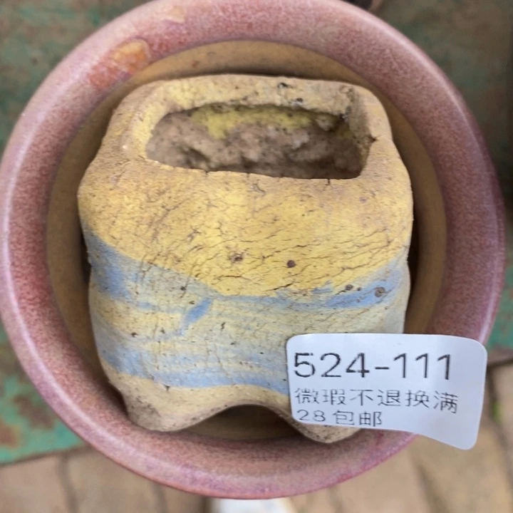 111号多肉盆小可爱