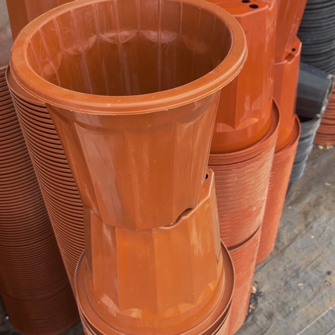 口径20高18 红砖盆10个