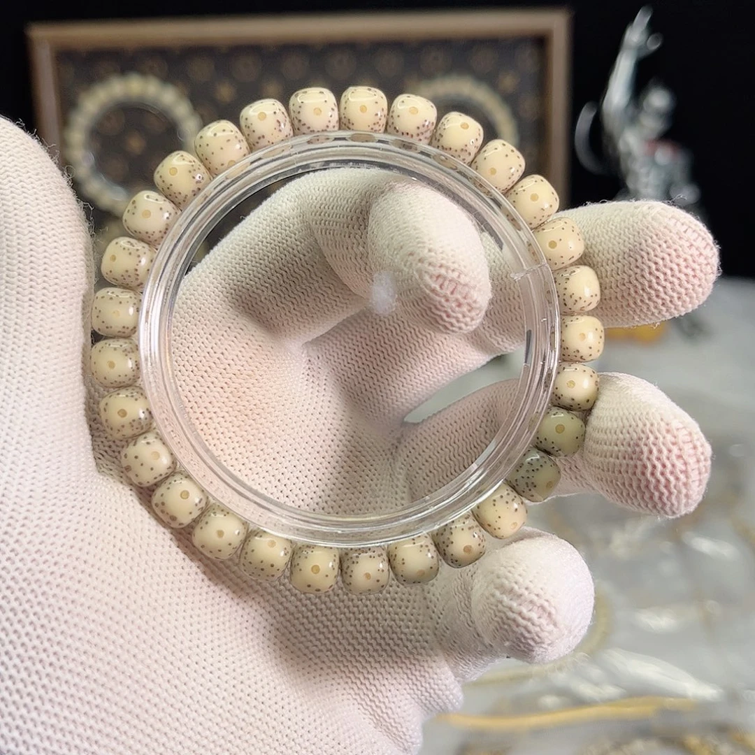 星月菩提手串504 号.  星月菩提.  一物一图.