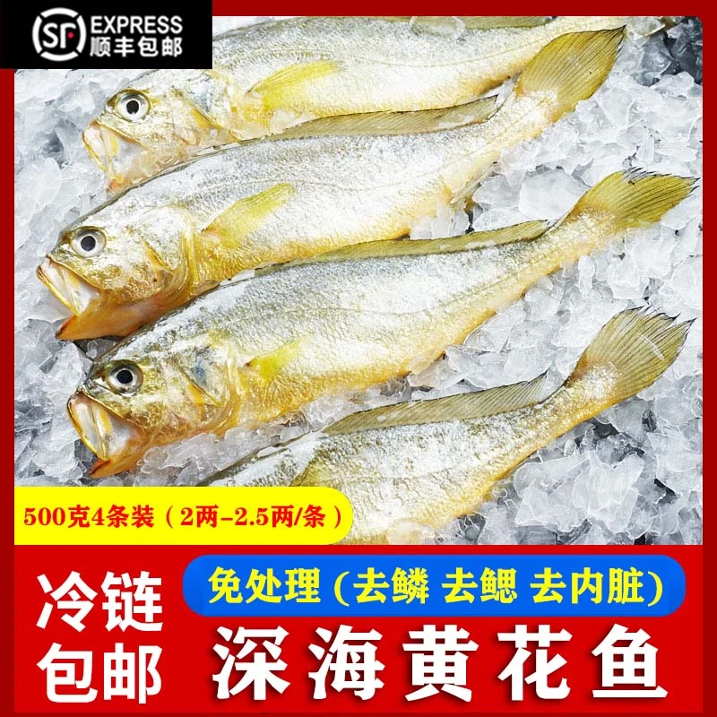 黄花鱼 三去大黄鱼免处理500g/4条装黄鱼鲞深海水产鲜冻生鲜海捕