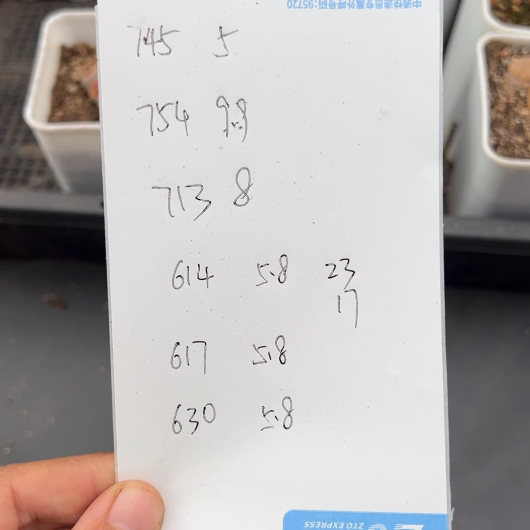 哈****瓜2.15好看的多958