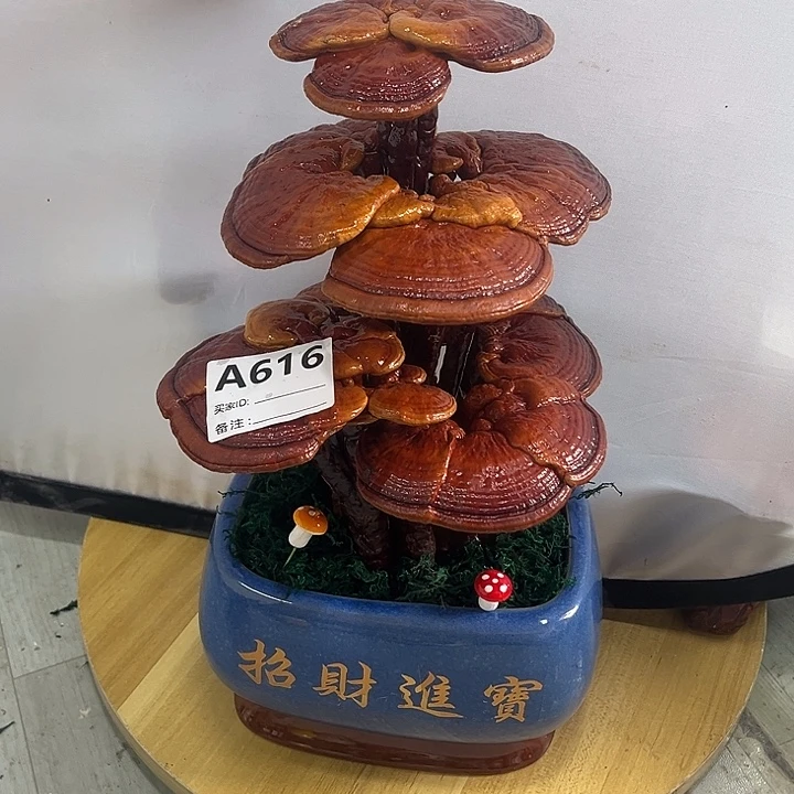 无花朵88888888888888