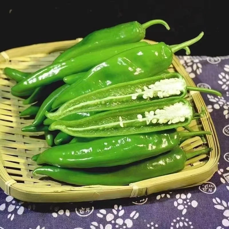 正宗薄皮青椒当季时令微辣软皮辣椒3斤包邮新鲜牛角椒虎皮尖椒