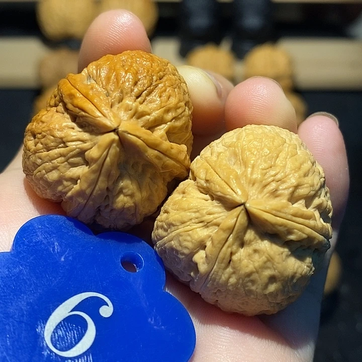 核桃三棱34核桃尺寸