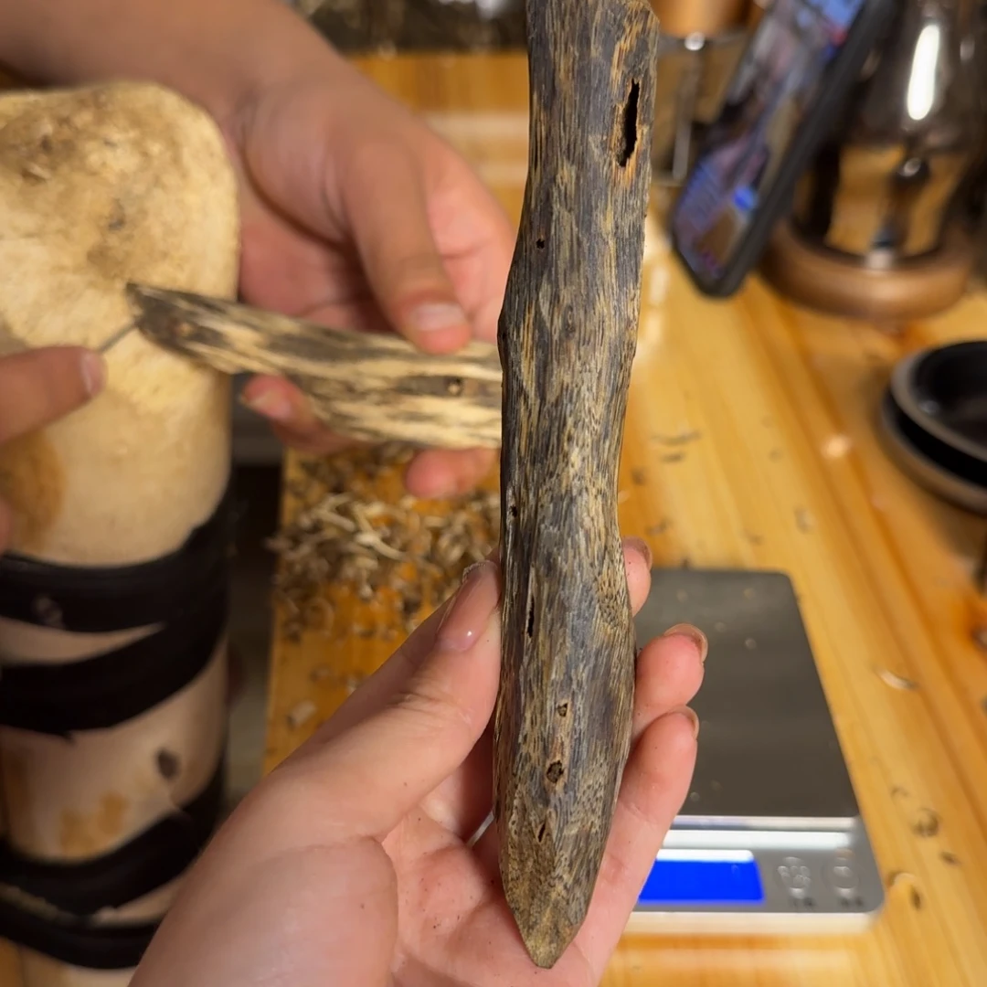 沉香白奇虫漏香19克