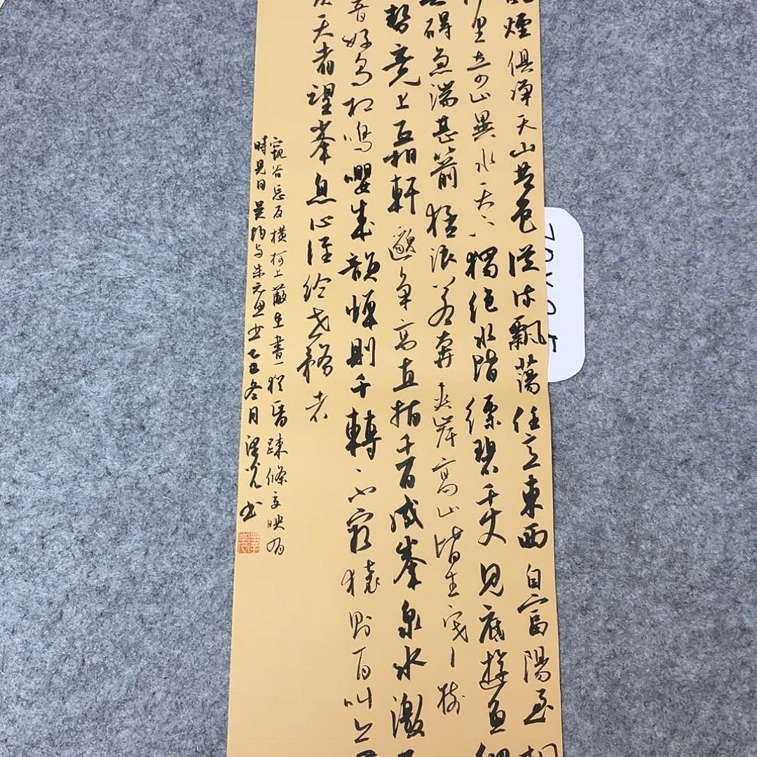 书法国展书家廖老师70×24