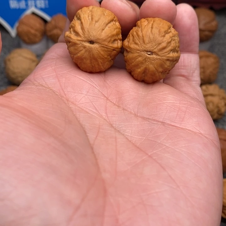 文玩核桃把件…………