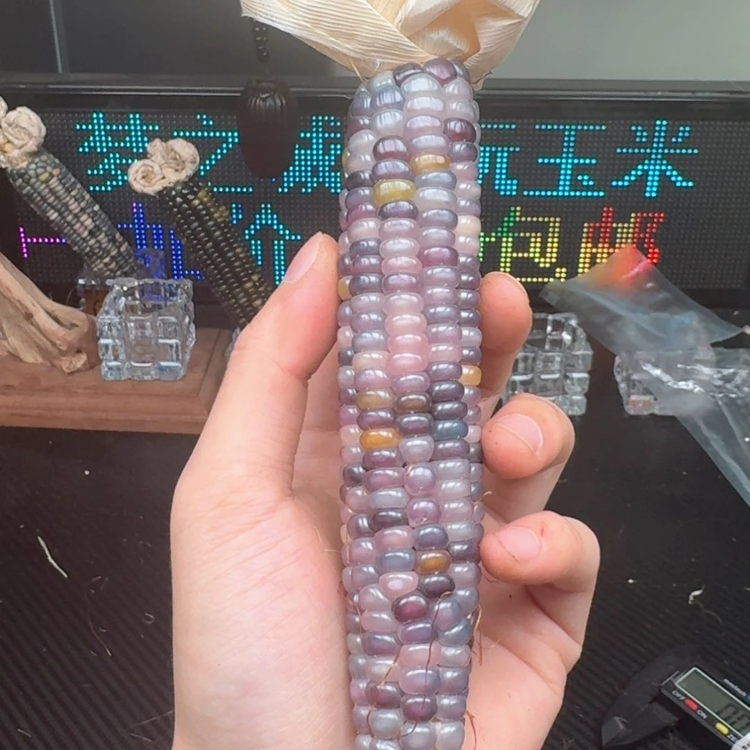 柏香籽/百香籽吊坠深*?