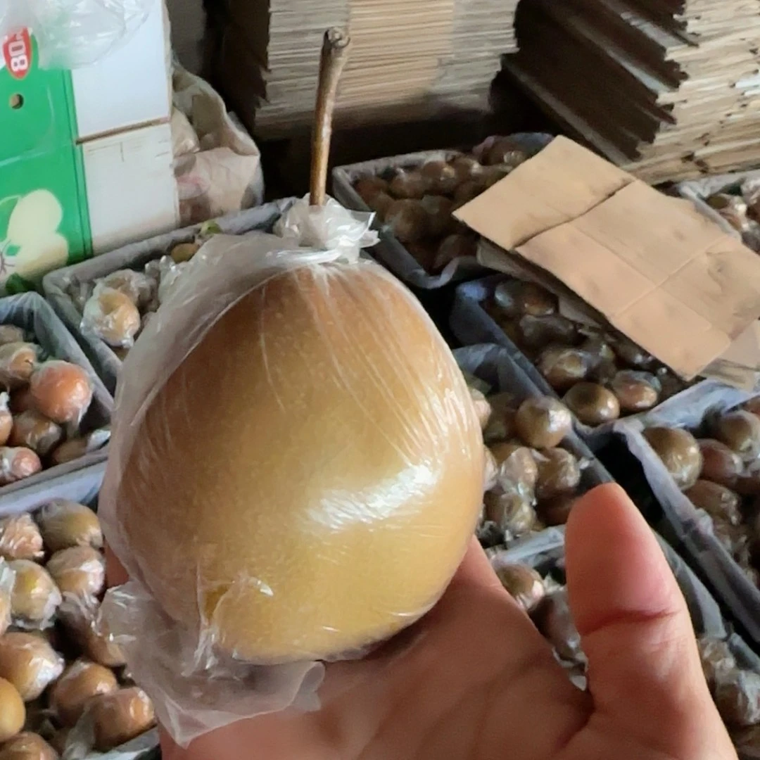 【魏县特产】魏县红梨特色果品地域特产