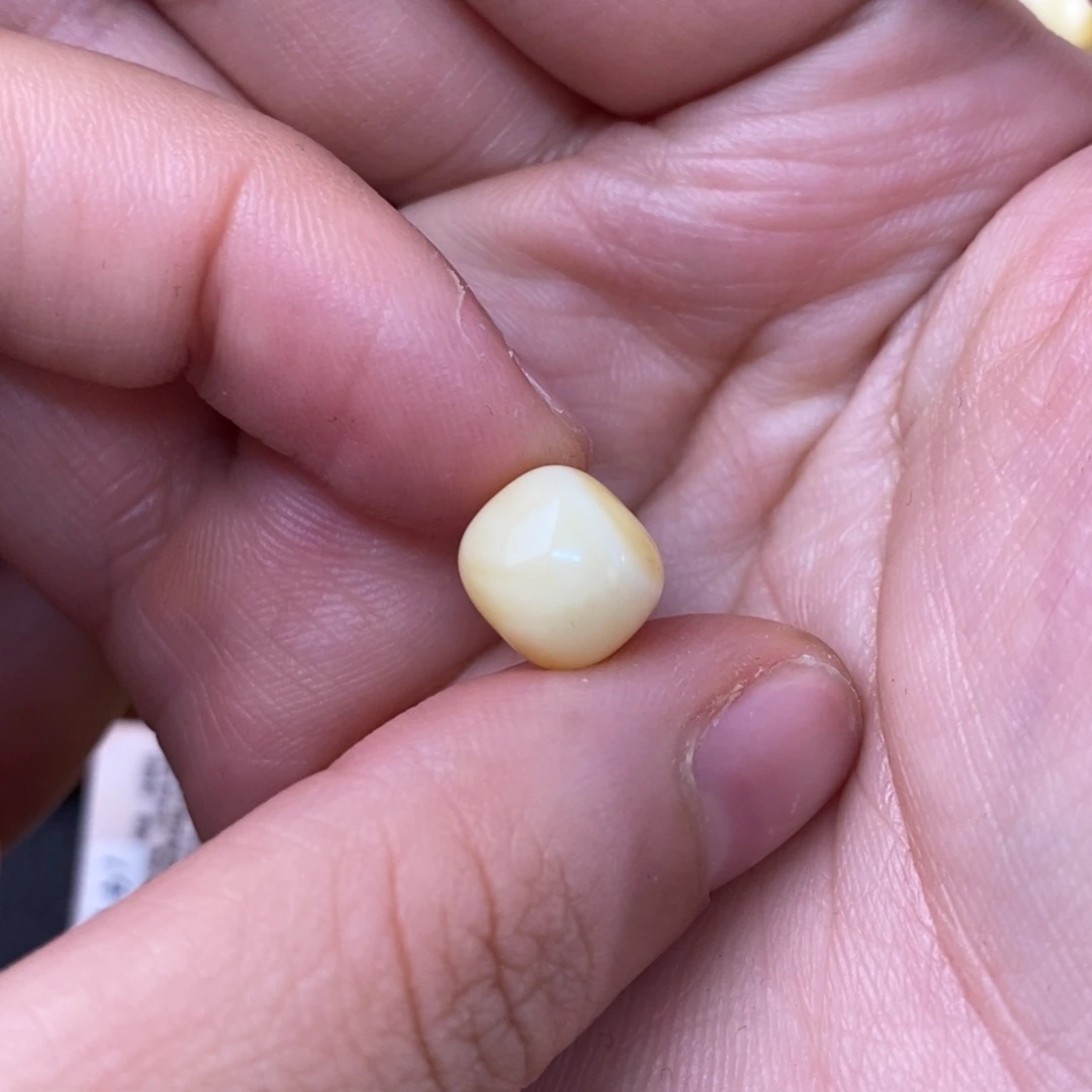 裸石琥珀未镶嵌D**古蜜蜡