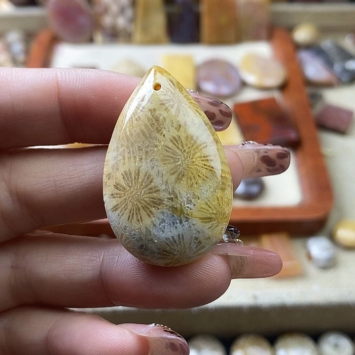 硅化珊瑚（珊瑚玉）未镶嵌颈饰