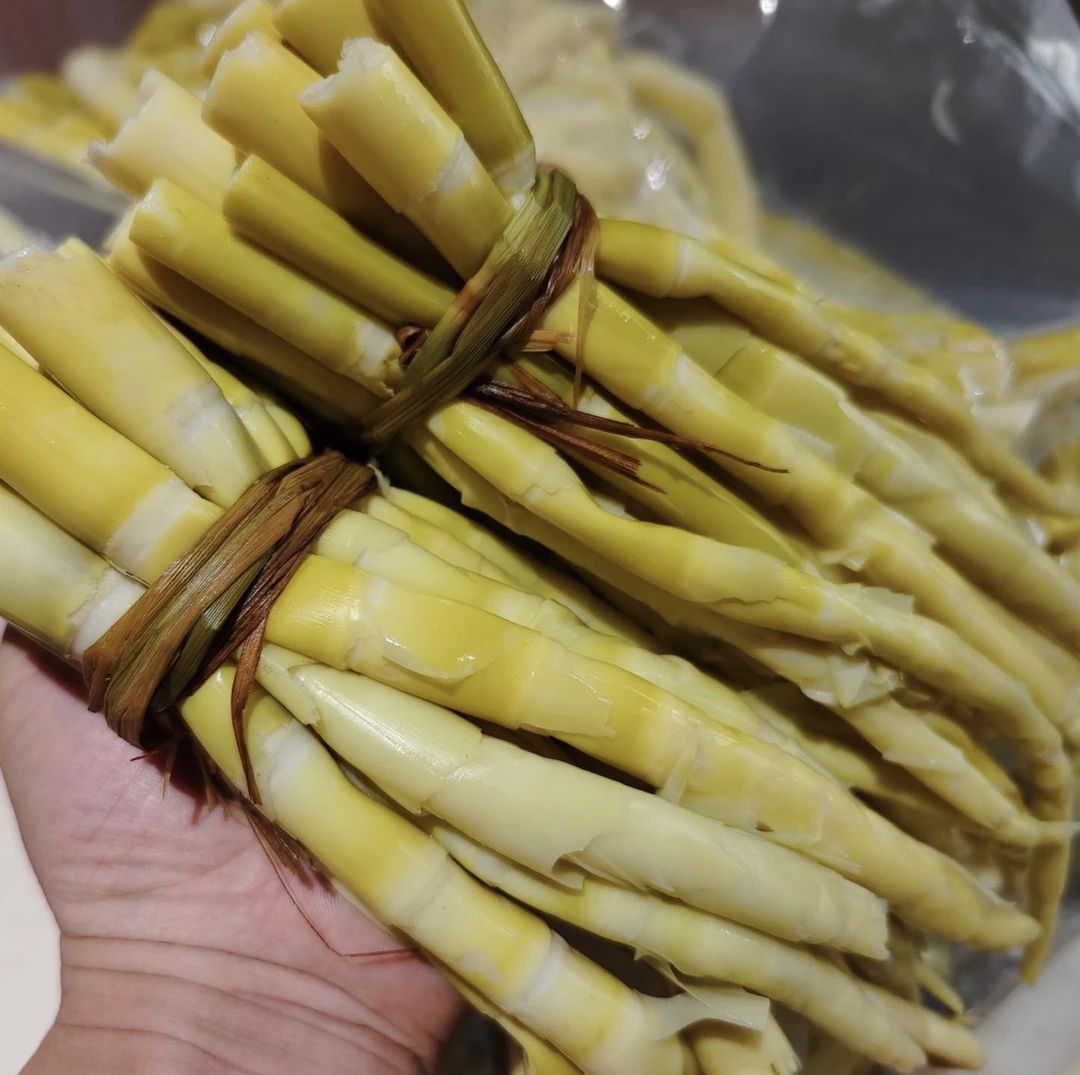 湖南高山野生小竹笋（焯水发货）新鲜美味