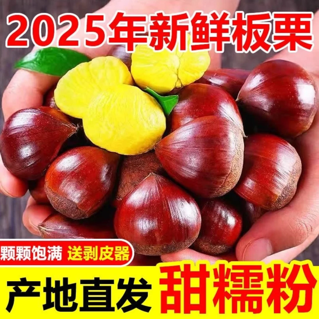 鲜榜咖2025丹东头茬板栗精选大果5斤现摘现发难剥皮坏果包赔(HPG)