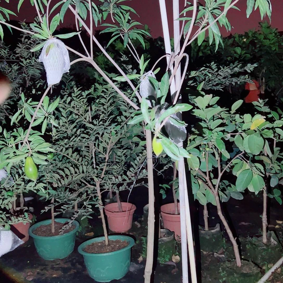 用***6完全开放222222222