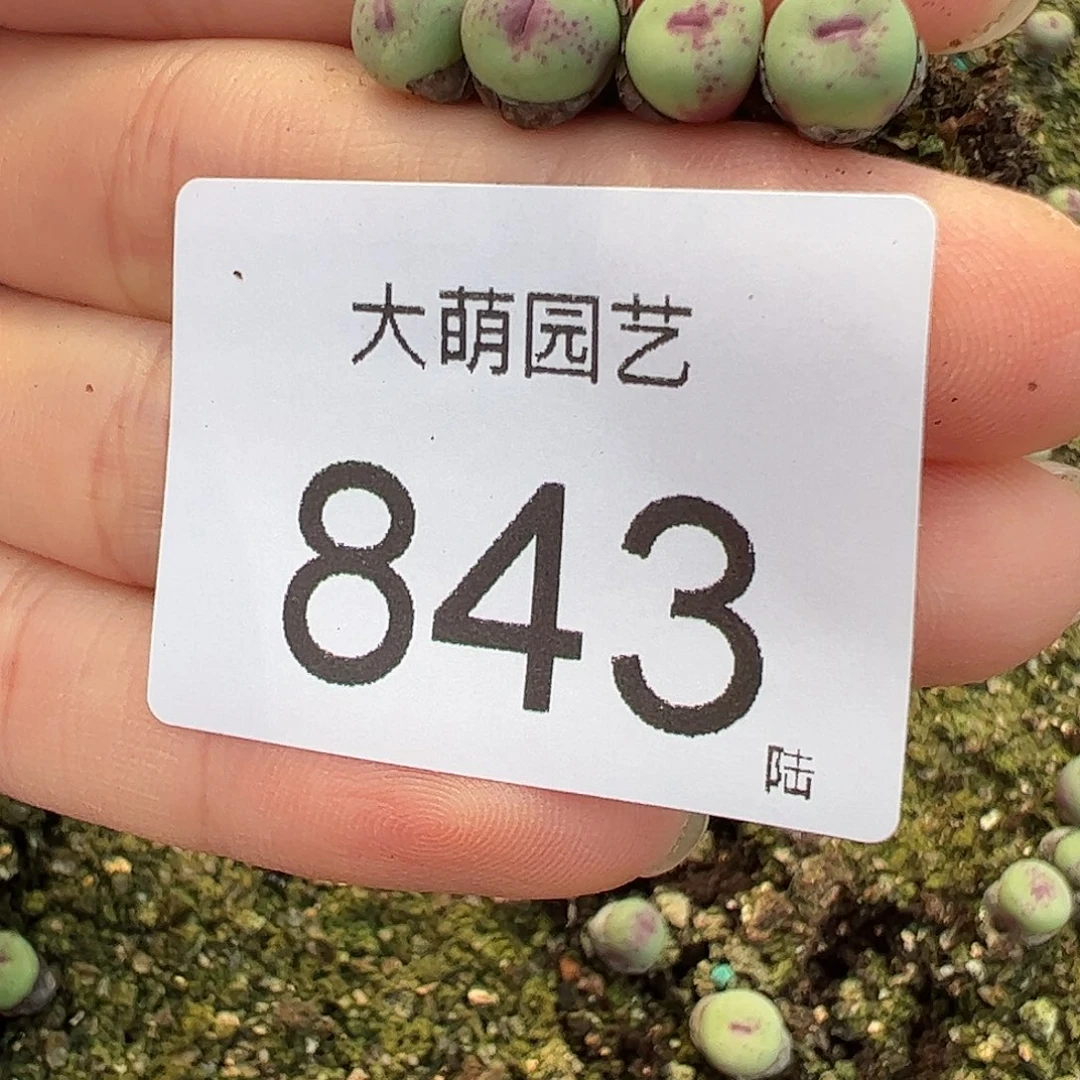 沉***海一物一拍。     843