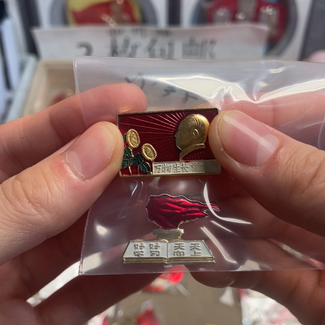 小****章章章章章章章章