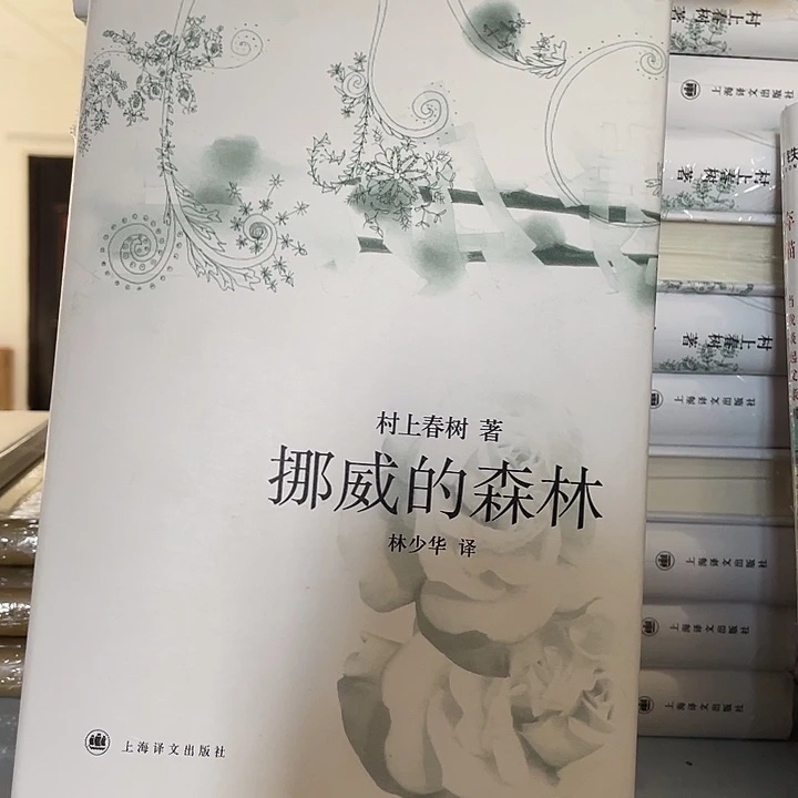 挪威的森林  精装带塑封