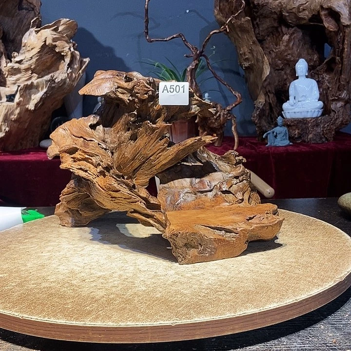 用****6501株木随行的小根艺