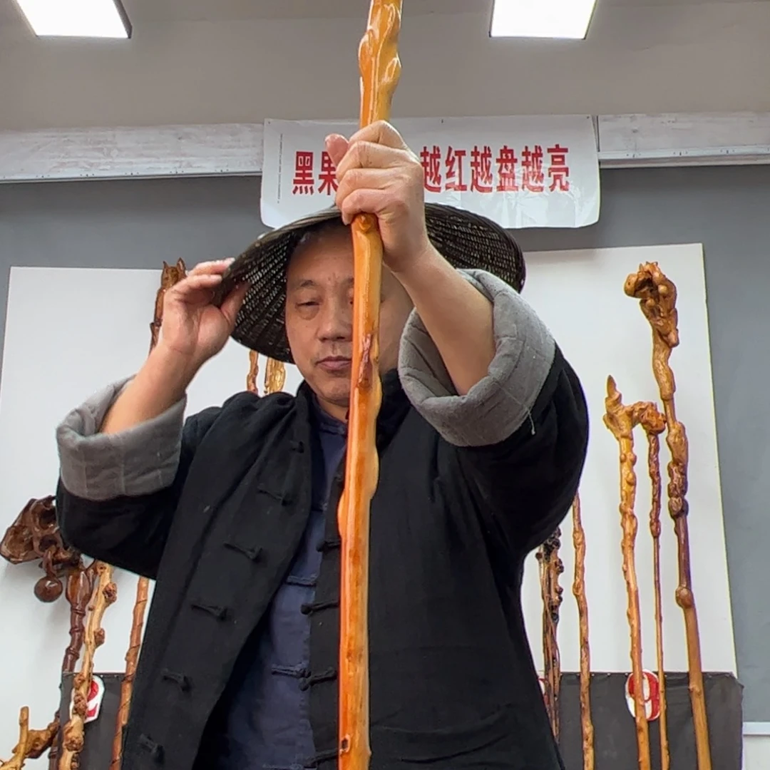 黑果木其他羽**翔黑果木358