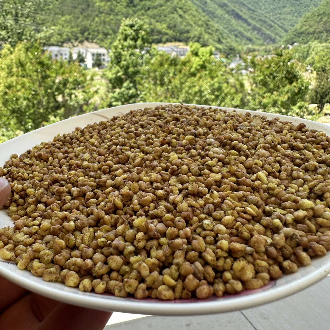 神农架高山苦荞茶【阿凯代卖】